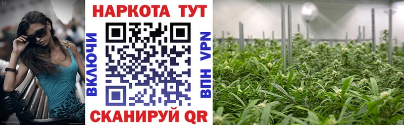 Купить наркоту Усть-Илимск Бошки Шишки  Метадон  ГАШИШ  АМФ  Галлюциногенные грибы 
